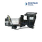 Pentair OptiFlo 1 HP Aboveground Pool Pump | EC-348196