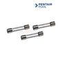 Pentair pool fuses for MasterTemp and Max-E-Therm systems from Discount Pool Mart (DPM) to ensure optimal performance.