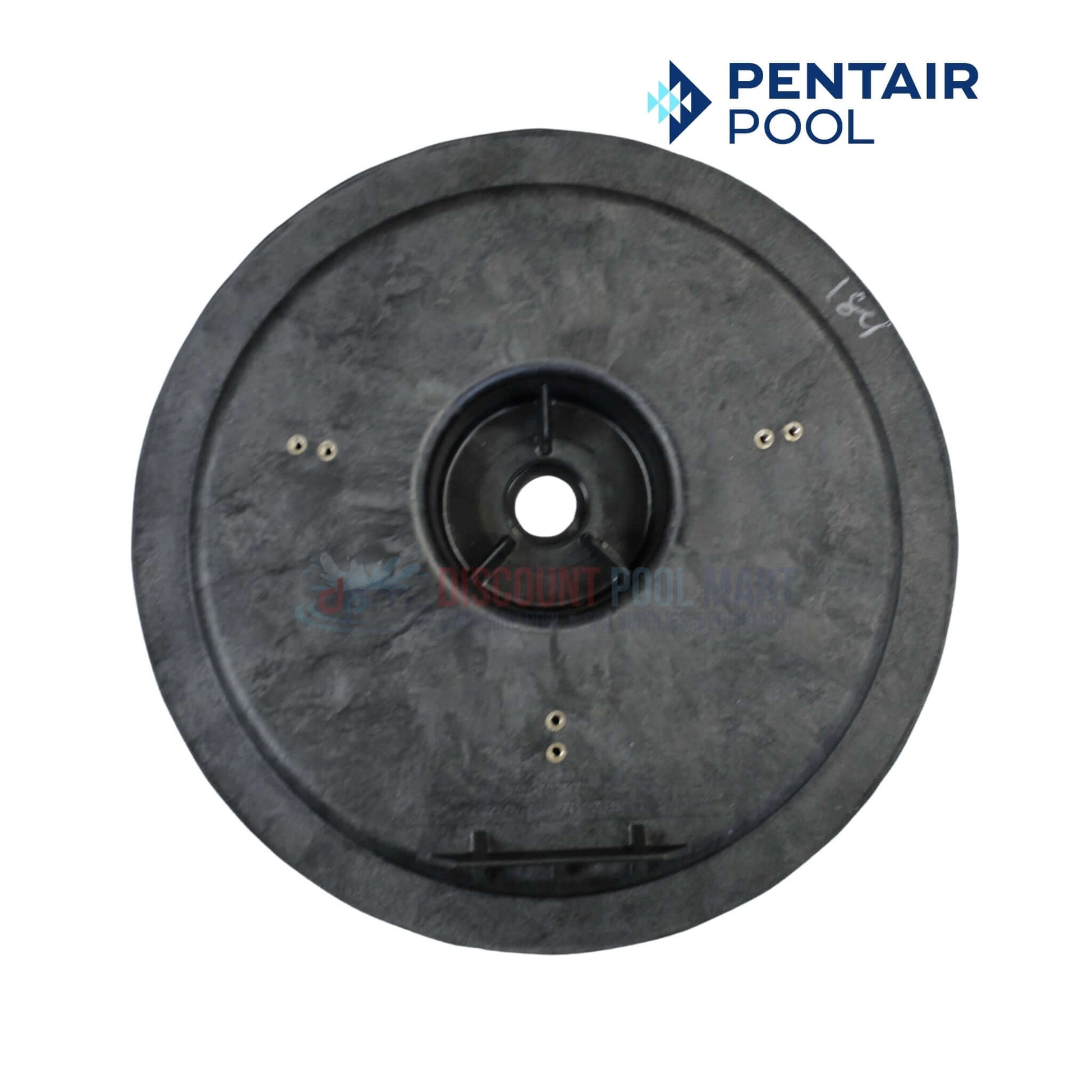 Pentair Seal Plate 355004 for Challenger and Waterfall pumps from Discount Pool Mart DPM, durable and essential for pump sealing.