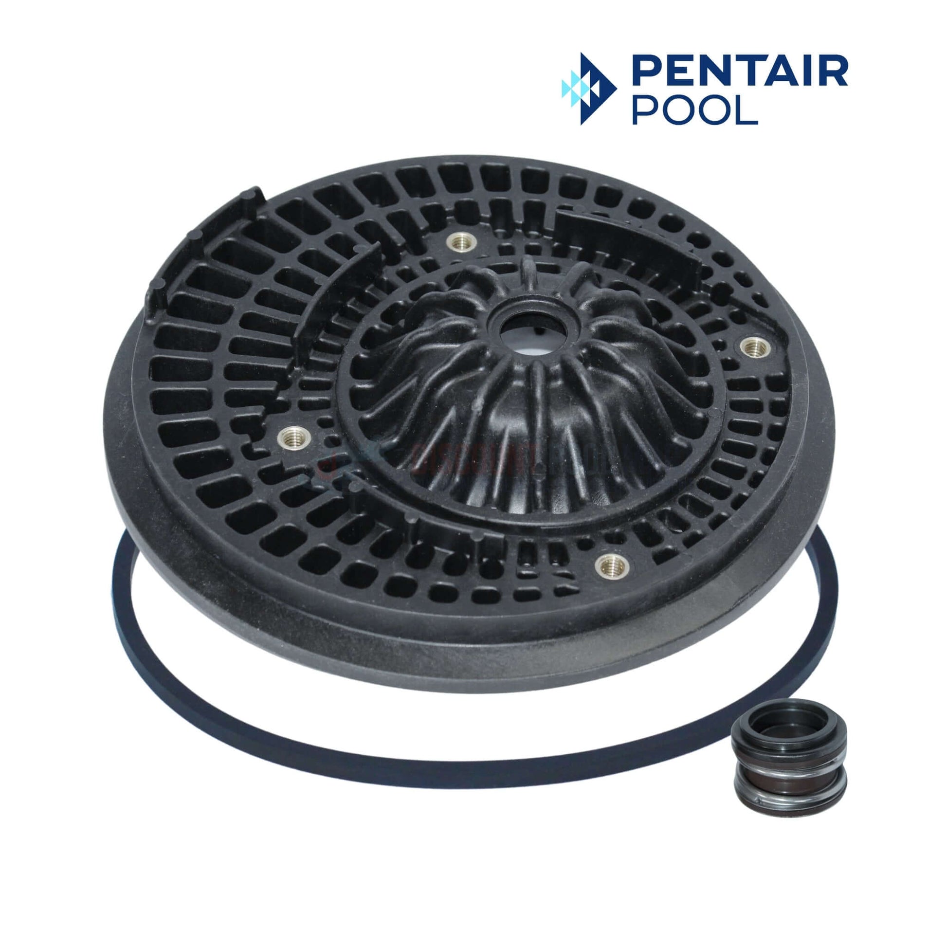 Pentair Seal Plate Kit C203-194PV with Viton Seal for Max-E-Pro, Max-E-Glas & Dura-Glas from Discount Pool Mart DPM