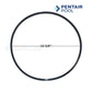 Pentair C203-194PV Seal Plate Kit Viton seal for Max-E-Pro, Max-E-Glas at Discount Pool Mart DPM - 10 5/8" diameter.