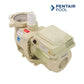 Pentair SuperFlo VST 1.5 HP Variable Speed Pump | 115V/230V | Discount Pool Mart DPM | Energy efficient pool pump