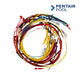 Pentair Wiring Harness Kit for MasterTemp and Max-E-Therm Heaters from Discount Pool Mart DPM, model 42001-0104S.