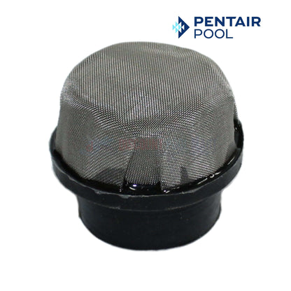 Pentair Air Bleeder Screen Cap for Clean & Clear Plus, EasyClean & Quad D.E Filters 1/4" | Discount Pool Mart DPM