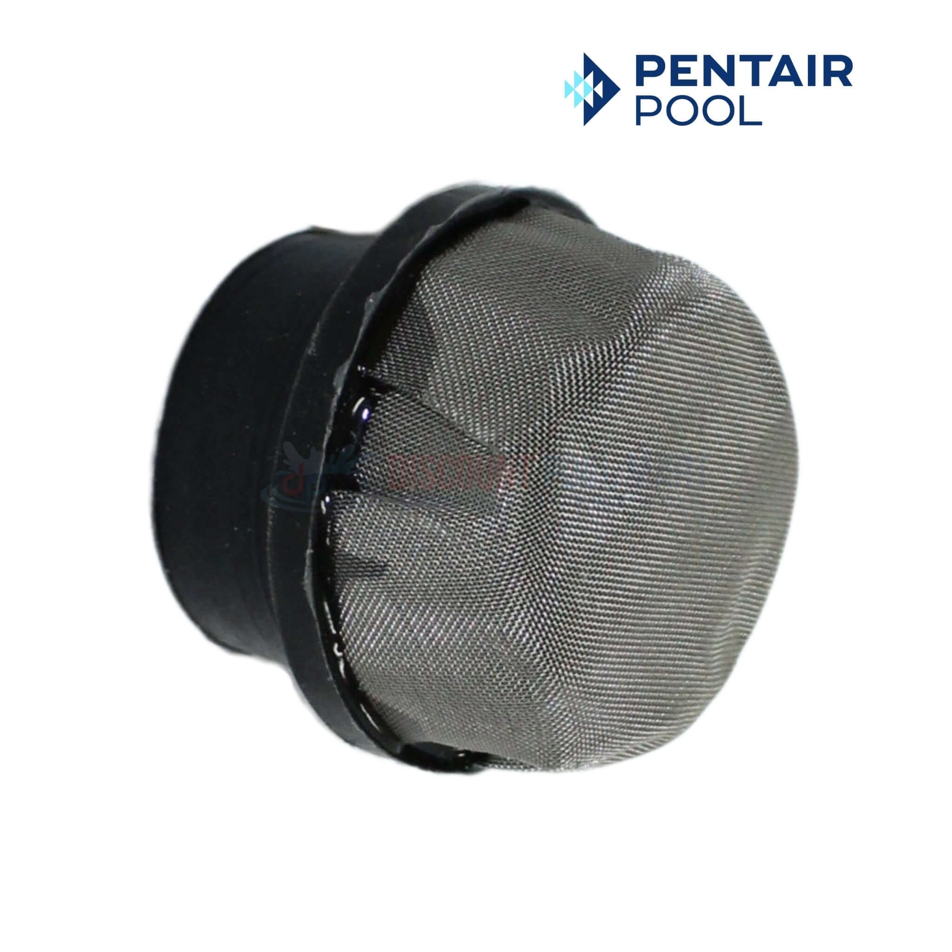 Pentair Air Bleeder Screen Cap Replacement for Clean & Clear Plus Filters | Discount Pool Mart DPM