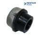 Pentair Air Bleeder Screen Cap for Clean & Clear Plus, EasyClean, Quad D.E Filters 1/4" | Discount Pool Mart DPM