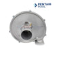 Pentair Air Combustion Blower for Mastertemp 400 Propane Heaters at Discount Pool Mart DPM, OEM part 77707-0256.