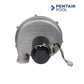 Pentair air combustion blower for Mastertemp 400 propane heaters from Discount Pool Mart DPM, model 77707-0256.