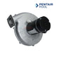 Pentair Air Combustion Blower for Max-E-Therm 333 Natural Gas Heaters at Discount Pool Mart DPM