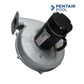 Pentair Air Combustion Blower 77707-0252 for Max-E-Therm heaters | Discount Pool Mart DPM