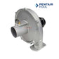 Pentair Max-E-Therm Air Combustion Blower for propane heaters at Discount Pool Mart DPM, model 77707-0255.