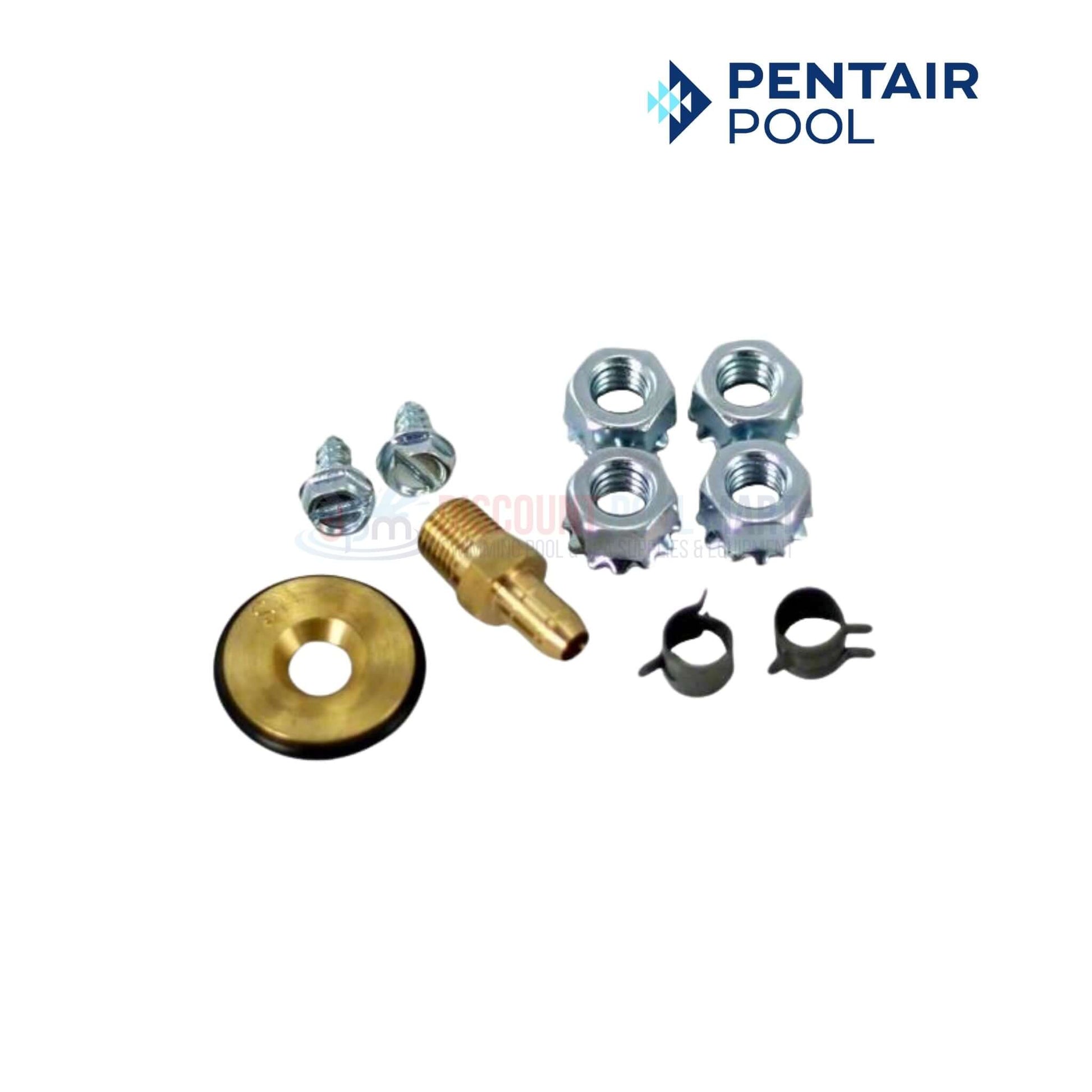 Pentair Pool replacement parts kit including screws, nuts, seals, and connectors for efficient operation