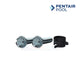 Pentair Pool replacement screws and clamp for pool equipment from Discount Pool Mart DPM.