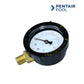Pentair Air Relief Valve Assembly Kit with Pressure Gauge from Discount Pool Mart DPM for optimal filtration performance.
