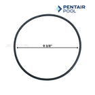 Pentair Body O-Ring For Filters | 87300400