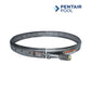 Pentair Clamp Band Assembly 195351 for FNS Filters at Discount Pool Mart DPM, durable and easy to install.
