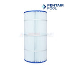 Pentair Clean & Clear Plus 240 Filter Cartridge | 60 sq. ft | R173572 | 179133