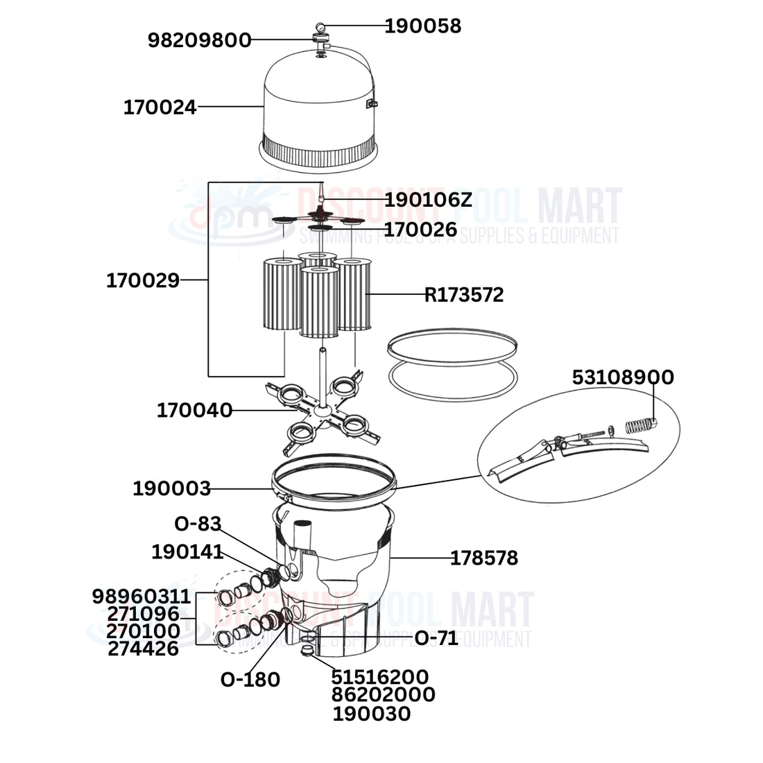 Pentair Clean & Clear Plus 240 160310 Filter Replacement Parts