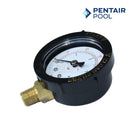 Pentair Clean and Clear Filter Pressure Gauge Replacement | 0-60 PSI |  1/4 inch Top Mount | 190058