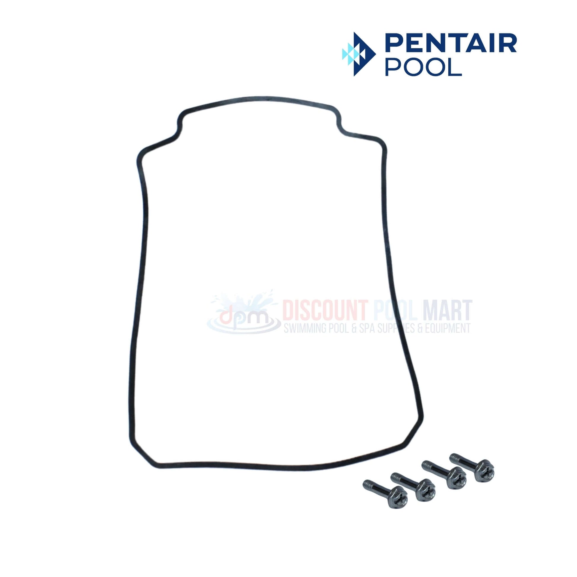 Pentair Drive Cover gasket with screws for SuperFlo & WhisperFlo pumps at Discount Pool Mart DPM.