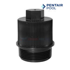 Pentair FNS Plus Filter Drain Cap with O-Ring | 190030Z