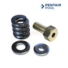 Pentair FNS Plus Filter Spring Barrel Nut Assembly | 550-4250 | 53108900