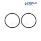 Pentair Half Union Adapter Set of 2 O-rings for MasterTemp Heaters from Discount Pool Mart DPM, black, durable replacement parts.