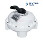 Pentair HiFlow Multiport Valve 261049 for FNS Plus Filters, 2-inch port, from Discount Pool Mart (DPM).