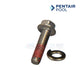 Pentair Pool bolt and washer for WhisperFloXF and IntelliFloXF pumps at Discount Pool Mart DPM
