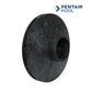 Pentair 355604 impeller for Challenger pumps, 2HP-2.5HP, high-efficiency water circulation at Discount Pool Mart DPM.