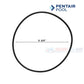 Pentair O Ring for Leaf Canister, 5 3/4 inch. Available at Discount Pool Mart (DPM) for durable pool maintenance.