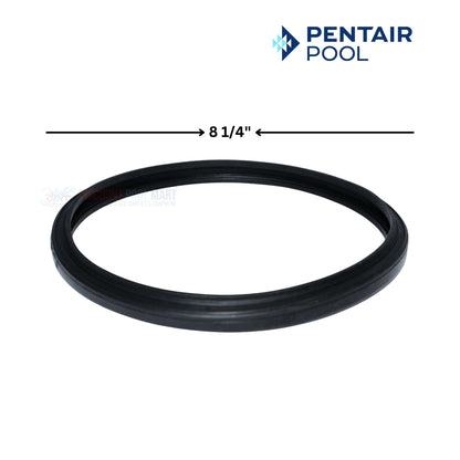 Pentair Lens Gasket for Sta-Rite Lights 05501-0005 at Discount Pool Mart DPM, size 8 1/4"