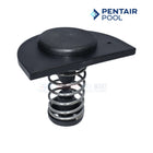 Pentair Manifold Bypass Valve For MasterTemp and Max-E-Therm Heaters | 77707-0001