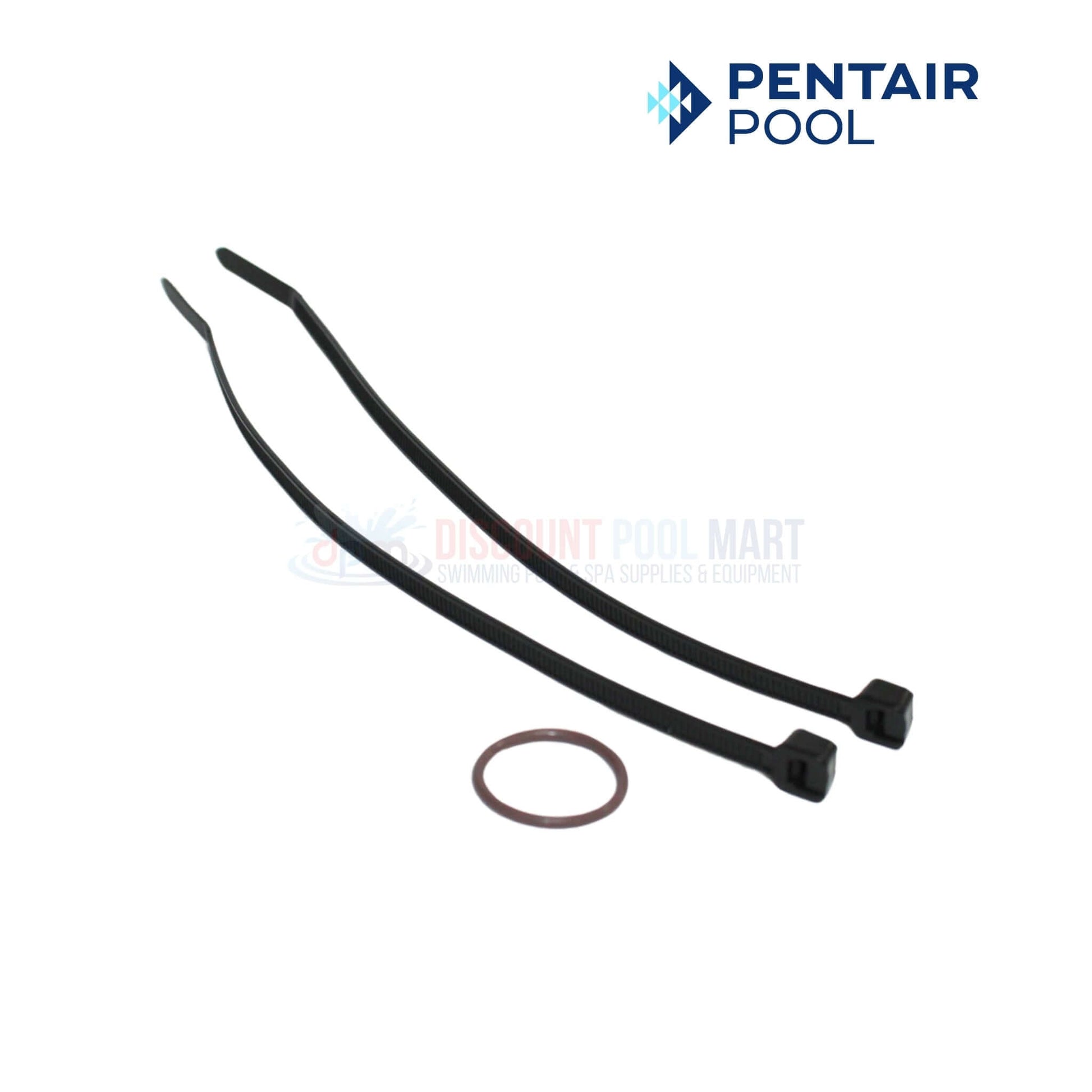 Pentair OEM parts including zip ties and O-ring for pool maintenance at Discount Pool Mart DPM.