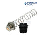 Pentair Master Service Package components: ignition control module and spring part for MasterTemp and Max-E-Therm at Discount Pool Mart DPM.