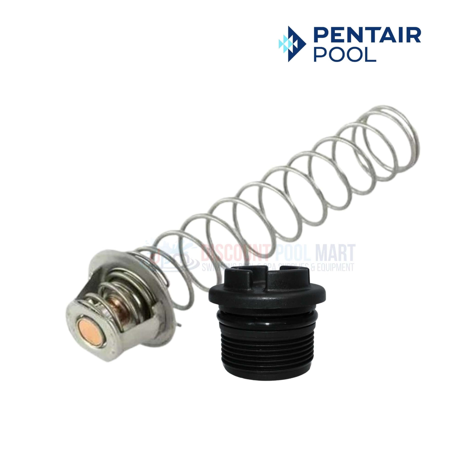 Pentair Master Service Package components: ignition control module and spring part for MasterTemp and Max-E-Therm at Discount Pool Mart DPM.