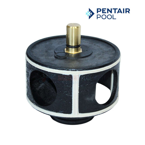 Pentair Noryl Valve Rotor 073370 with tapered seal for Purex SM and SMBW filters at Discount Pool Mart DPM.