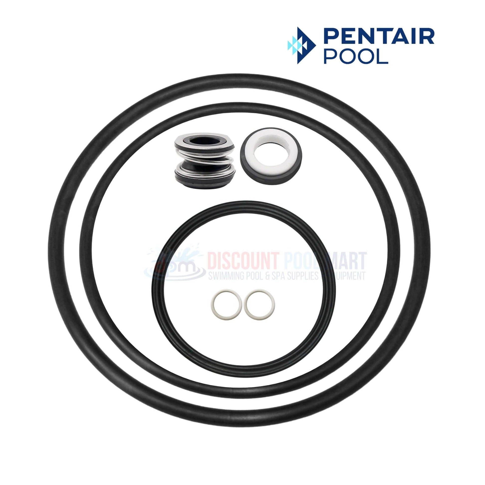Pentair Pump Seal Kit SuperFlo SuperMax Pump Quick-Kit components from Discount Pool Mart DPM, model 356197.