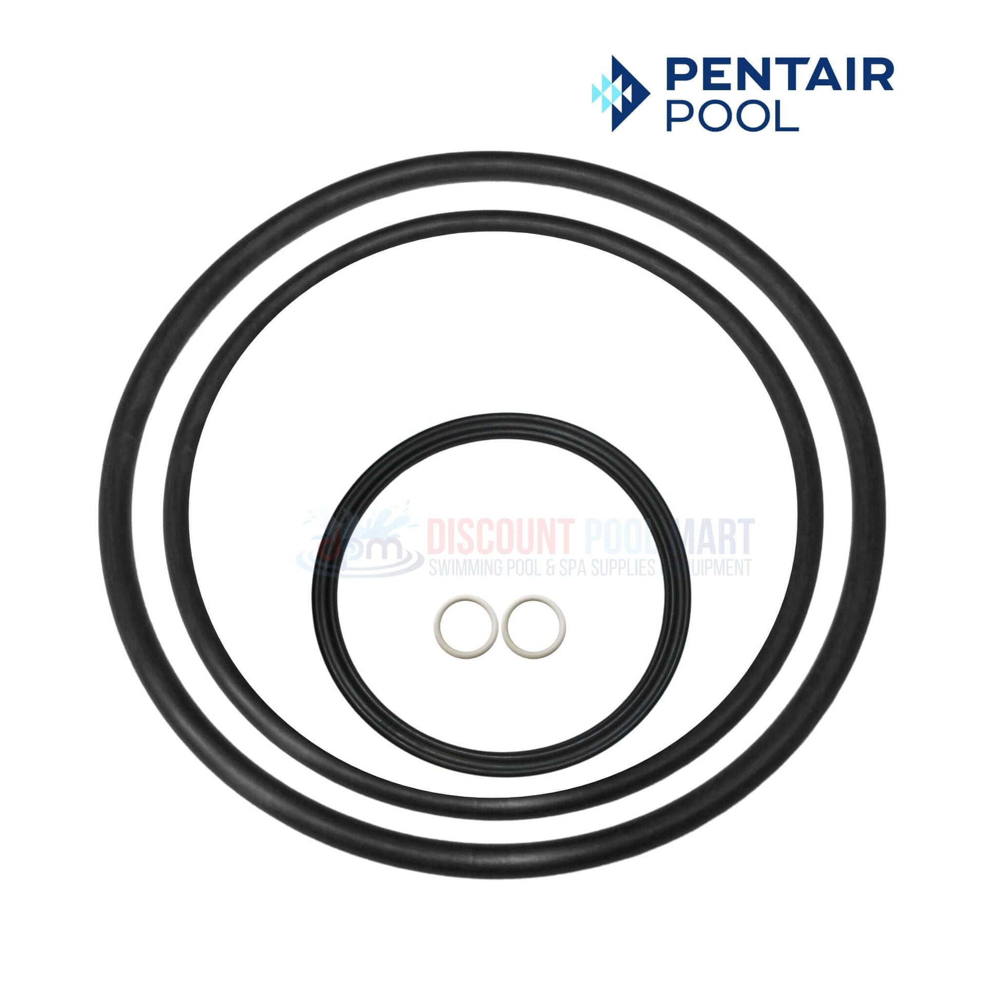 Pentair Pump Seal Kit SuperFlo SuperMax Pump Quick-Kit 356197 from Discount Pool Mart DPM - high-quality seals and gaskets.