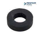 Pentair Rubber Washer for Whisperflo and Intelliflo Impeller | 075713