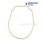 Pentair Seal Plate Gasket For Whisperflo And Intelliflo Pump | Almond | 357102