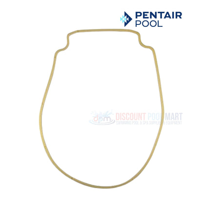 Pentair Seal Plate Gasket for Whisperflo and Intelliflo pump from Discount Pool Mart DPM, almond color, model 357102.