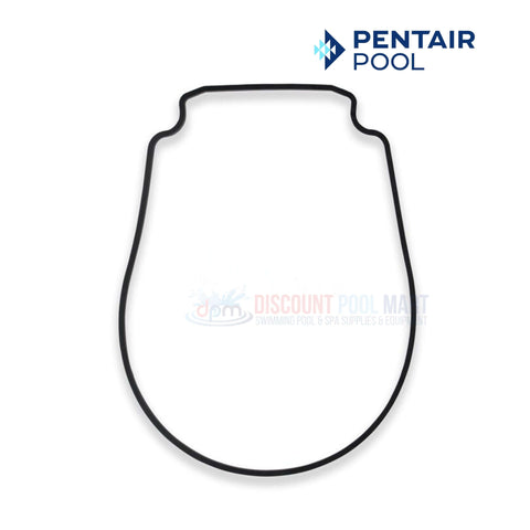 Pentair Seal Plate Gasket for Whisperflo & Intelliflo Pump at Discount Pool Mart, DPM, durable black replacement part.
