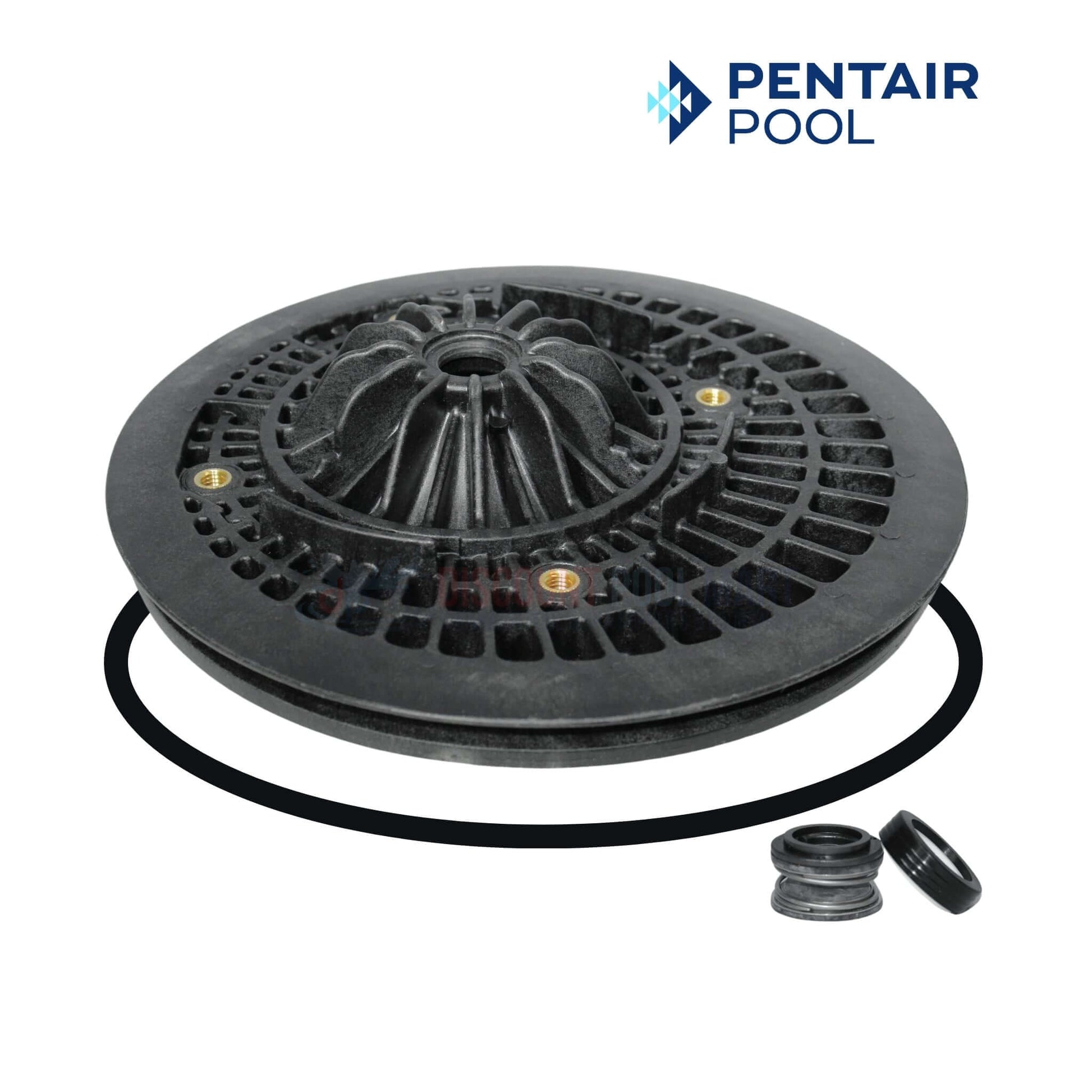 Pentair Seal Plate Kit C203-193 for Max-E-Glas & Dura-Glas Pumps | Discount Pool Mart DPM