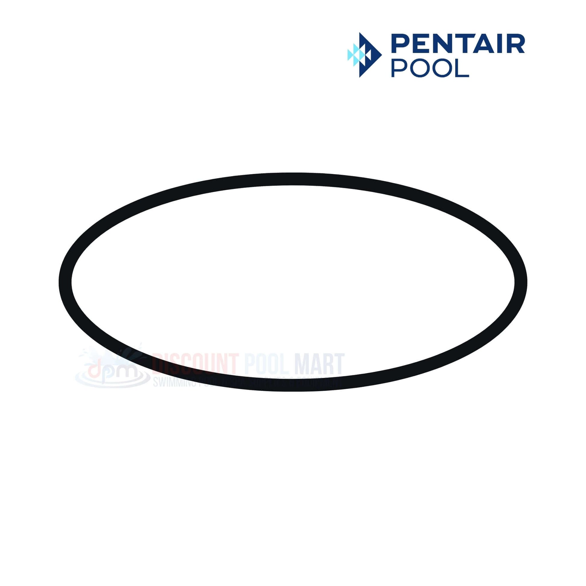 Pentair Pool seal plate O-ring for Max-E-Glas and Dura-Glas pumps from Discount Pool Mart DPM.