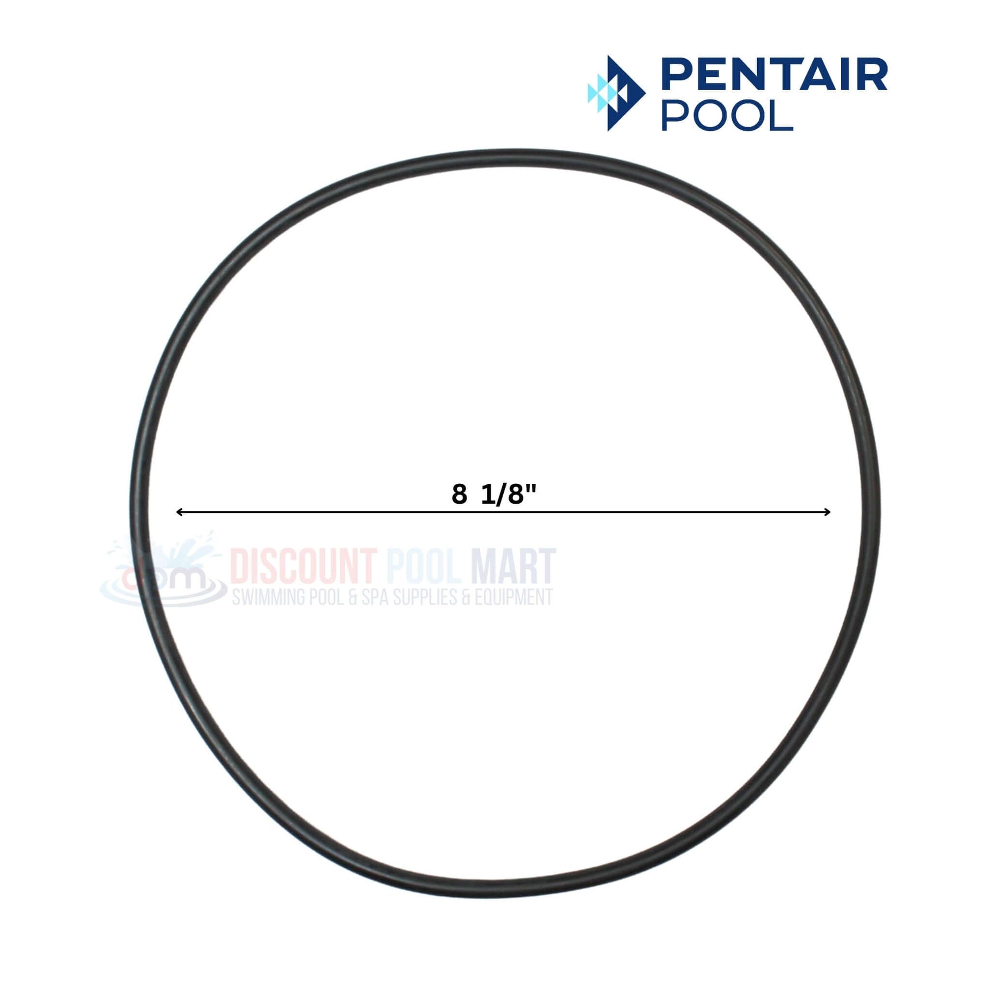Pentair Seal Plate O-Ring 8 1/8" diameter for SuperMax & SuperFlo Pumps at Discount Pool Mart DPM.
