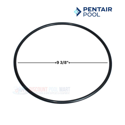 Pentair Seal Plate O-Ring 351446 for WhisperfloXF & IntellifloXF Pumps at Discount Pool Mart