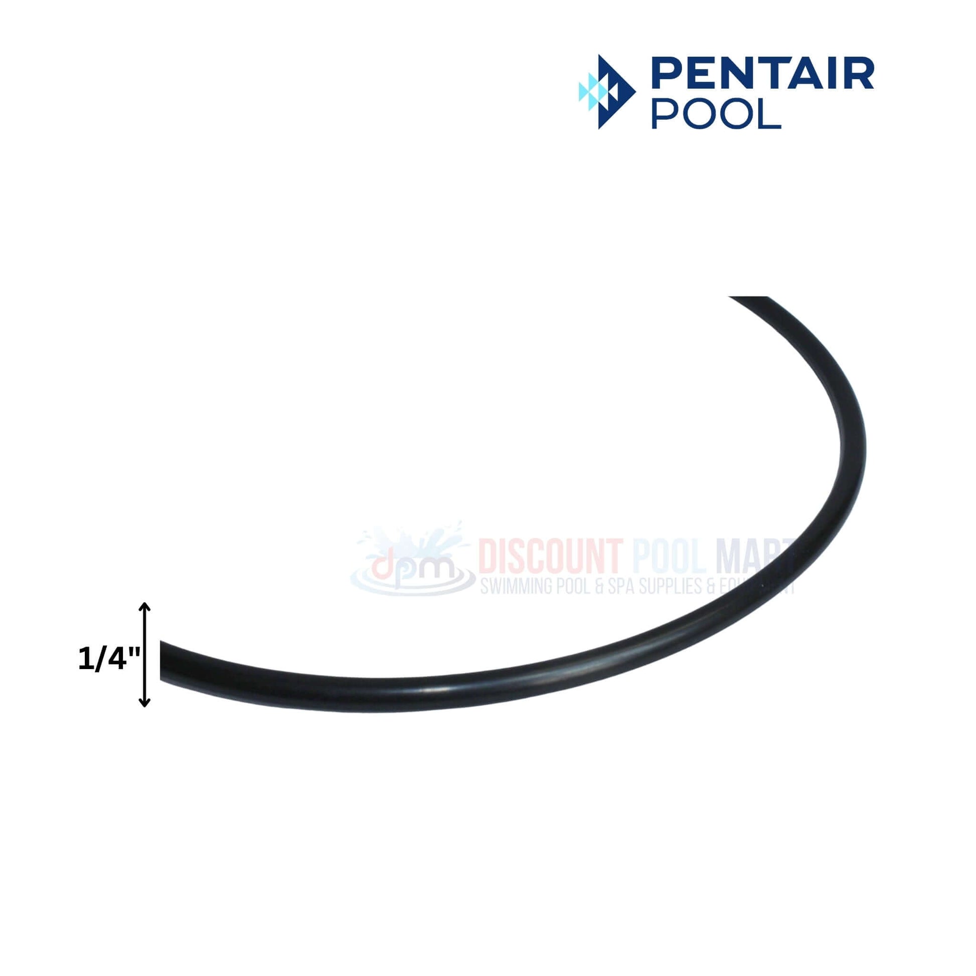 Pentair Seal Plate O-Ring 351446 for WhisperfloXF & IntellifloXF Pumps | Discount Pool Mart DPM