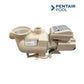 Pentair SuperFlo Pool Pump 348190, 1HP single speed pump from Discount Pool Mart DPM, energy-efficient and quiet.