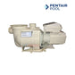 Pentair SuperFlo Pool Pump 1HP energy-efficient pump at Discount Pool Mart DPM with quiet operation and easy maintenance.